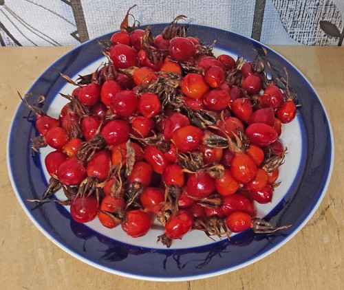 Les_09.11.2022-3.jpg