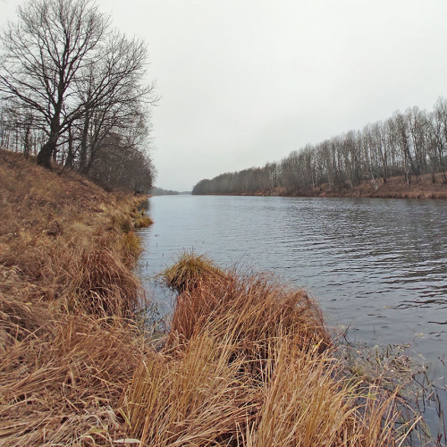 Les_11.11.2022-3.jpg