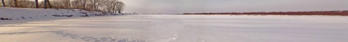 Shmrsk_04022012-3a.jpg