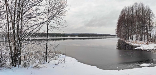 Ryb_19.11.2022-3.jpg