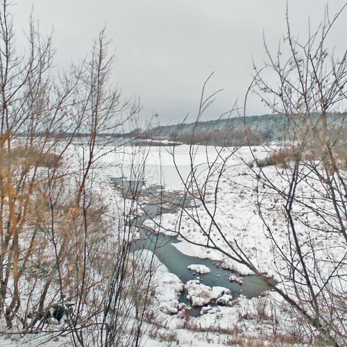 Ryb_20.11.2022-2.jpg