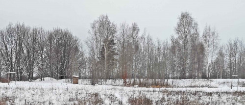 Ryb_20.11.2022-3.jpg