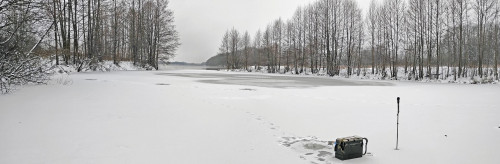 Ryb_21.11.2022-3.jpg