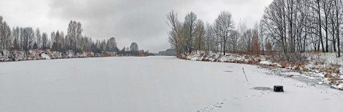 Ryb_25.11.2022-3.jpg