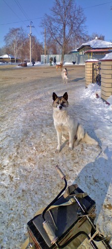 Shmrsk_07022012-4.jpg