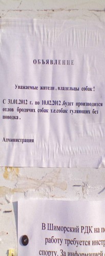 Shmrsk_07022012-5.jpg