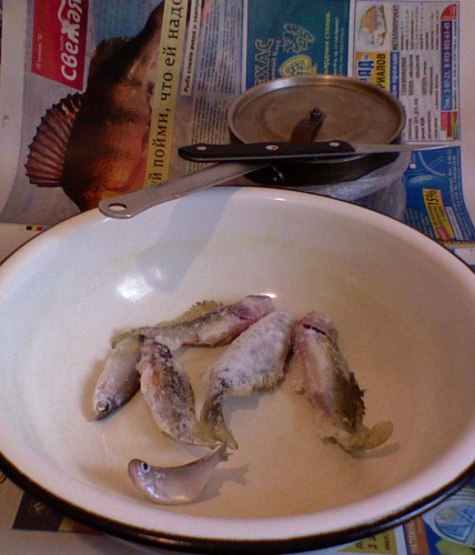 Shmrsk_07022012-6.jpg