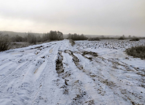 Ryb_02.12.2022-2.jpg