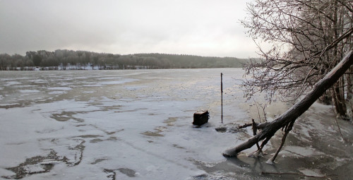 Ryb_02.12.2022-3.jpg