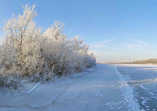 Ryb_02.12.2022-5.jpg