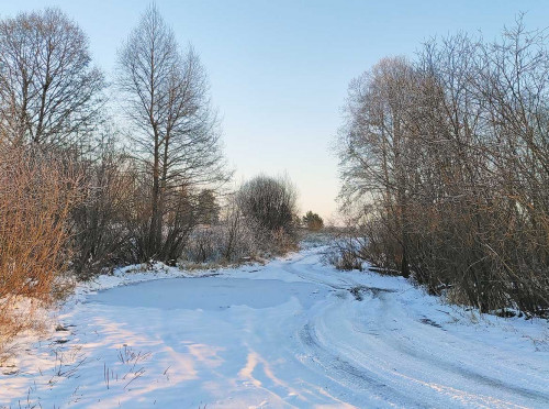 Ryb_02.12.2022-8.jpg