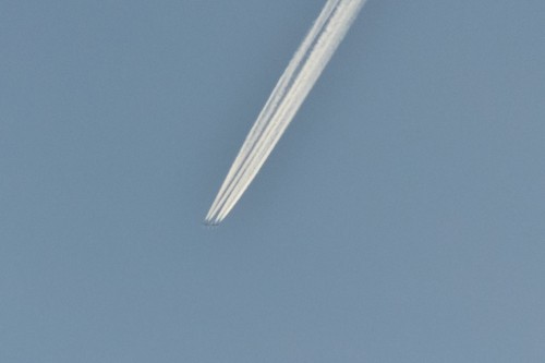 DSC_7896.jpg