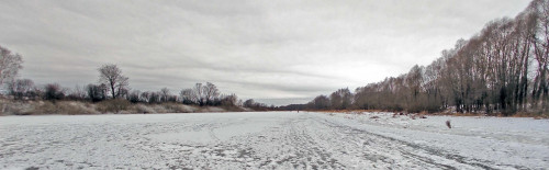 Ryb_08.12.2022-3.jpg