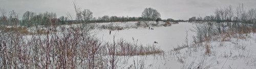 Ryb_10.12.2022-2.jpg