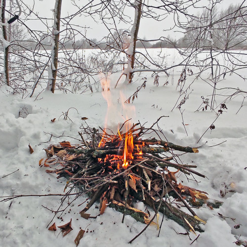 Ryb_10.12.2022-4.jpg