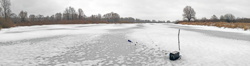 Ryb_13.12.2022-2.jpg