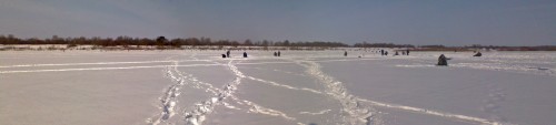 Starica_18022012-3.jpg