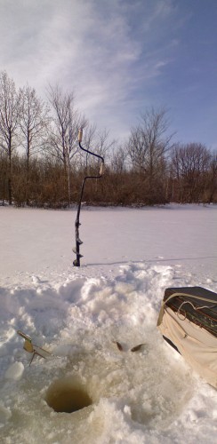 Viterevo_18022012-2.jpg