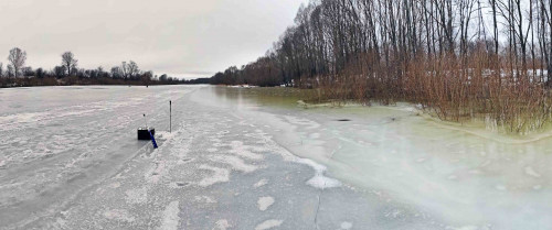 Ryb_27.12.2022-2.jpg