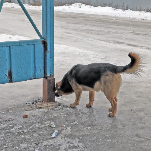 Ryb_27.12.2022-5.jpg