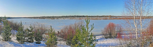 Ryb_02.01.2023-2.jpg