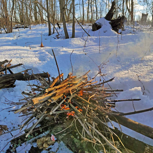 Ryb_02.01.2023-6.jpg
