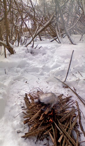 Shmrsk_28022012-2.jpg