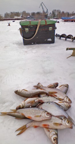Shmrsk_28022012-3.jpg