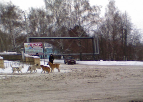 Shmrsk_28022012-4g.jpg