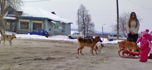 Shmrsk_28022012-4b.jpg