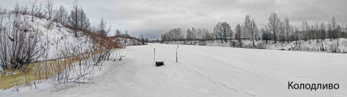Ryb_13.01.2023-3.jpg
