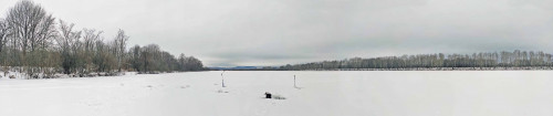Ryb_17.01.2023-1.jpg