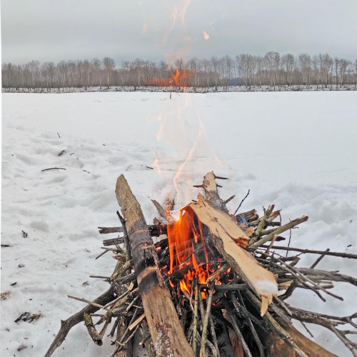 Ryb_17.01.2023-2.jpg