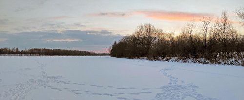 Ryb_18.01.2023-1.jpg