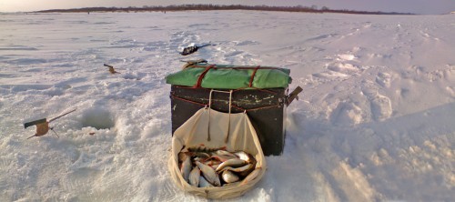Shmrsk_05032012-1a.jpg