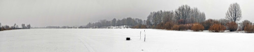 Ryb_27.01.2023-3.jpg
