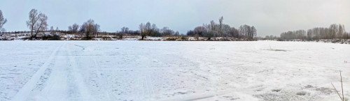 Ryb_27.01.2023-4.jpg