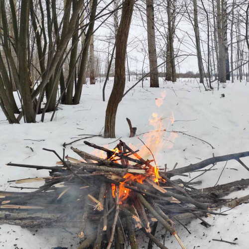Ryb_30.01.2023-1.jpg