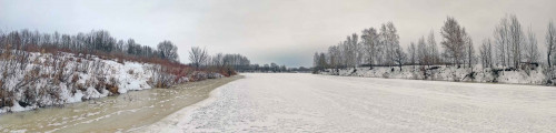 Ryb_31.01.2023-1.jpg