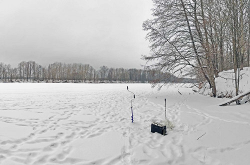 Ryb_03.02.2023-3.jpg
