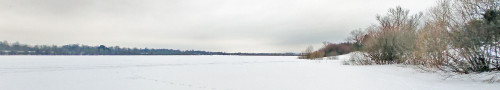 Ryb_08.02.2023-2.jpg