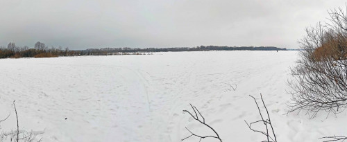 Ryb_08.02.2023-3.jpg