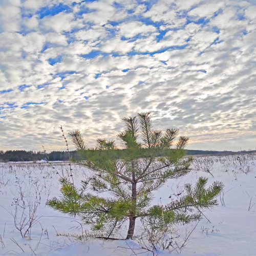 Ryb_08.02.2023-8.jpg