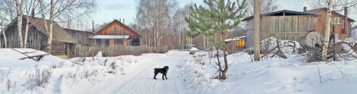 Ryb_08.02.2023-9.jpg