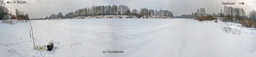 Ryb_12.02.2023-2.jpg