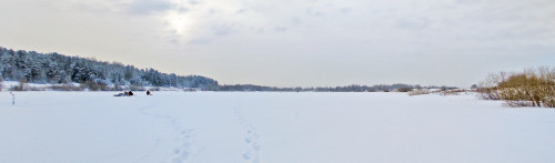 Ryb_14.02.2023-3.jpg