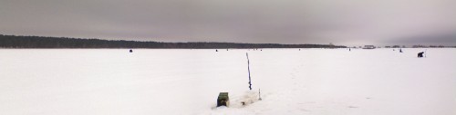 Vilja_18032012-1.jpg