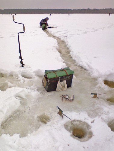 Vilja_18032012-2.jpg