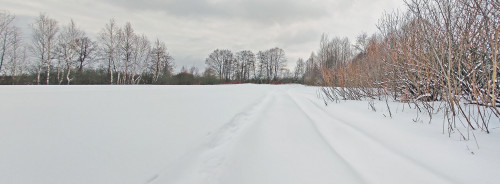 Ryb_15.02.2023-2.jpg