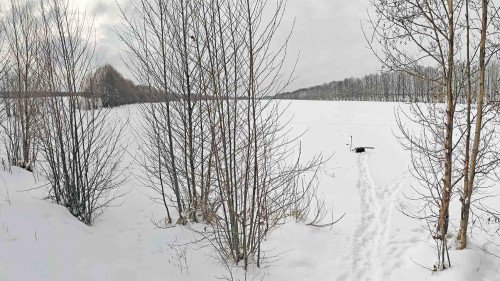 Ryb_15.02.2023-4.jpg